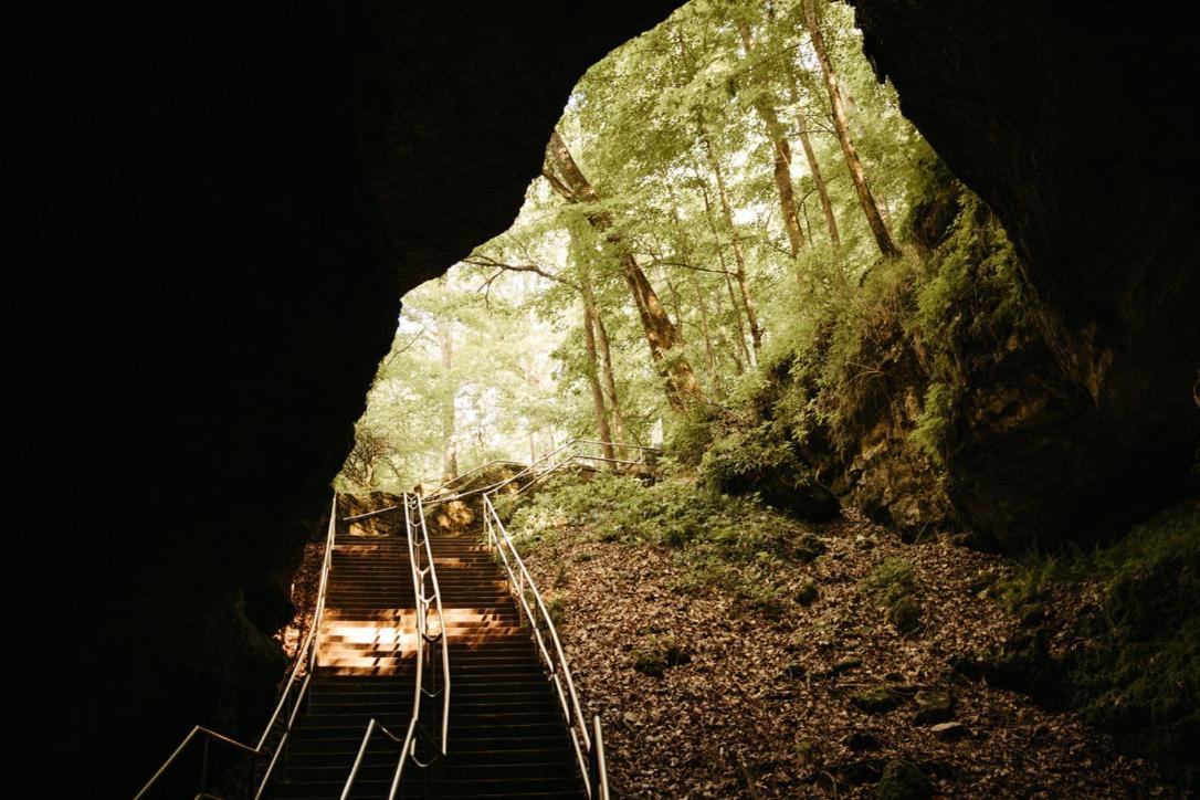 Mammoth Cave Lodge And Cabins المظهر الخارجي الصورة